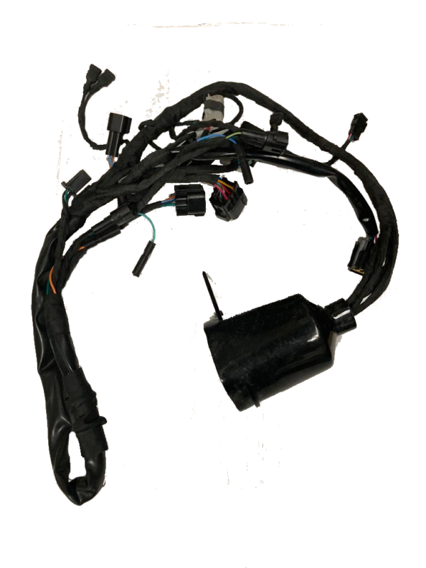 SurRon L1E Wiring Harness OEM