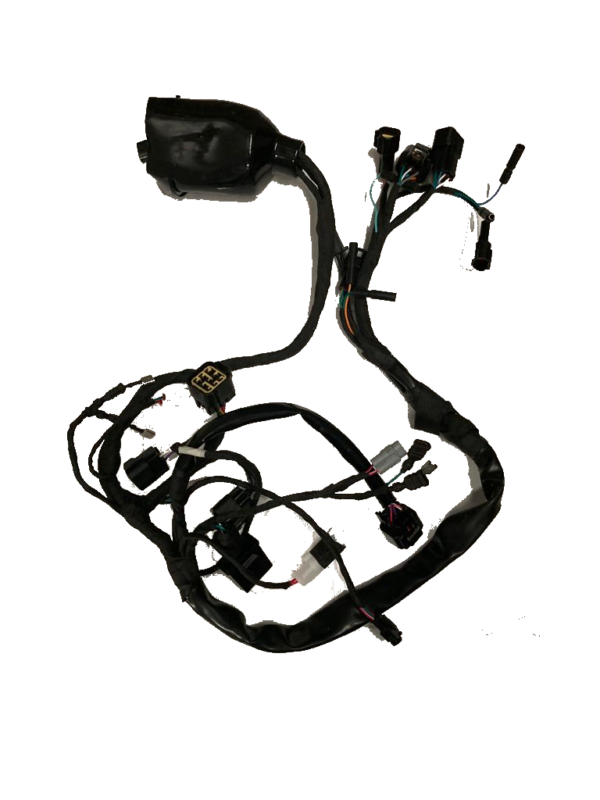 SurRon LBX Wiring Harness OEM